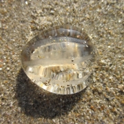 Pleurobrachia pileus, sea gooseberry on Blankenberge beach, Belgium